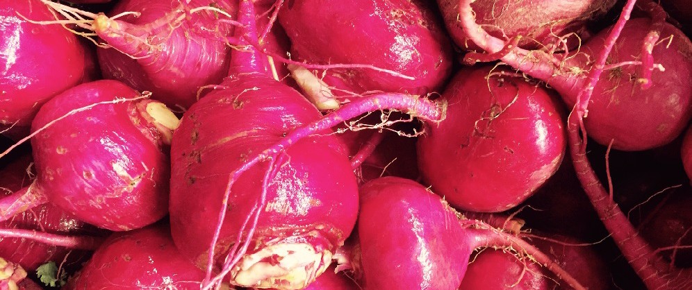 FAQ LoveSelf Scarlet Turnips